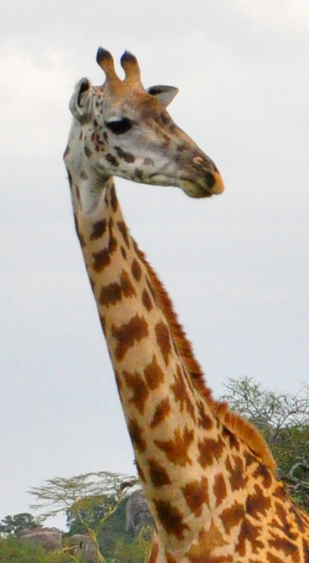 Melanie Heinrich Travel Images Africa